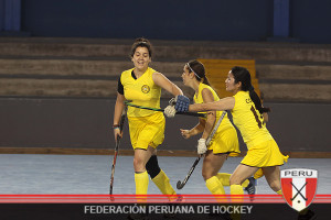 Final-de-Hockey-(96)