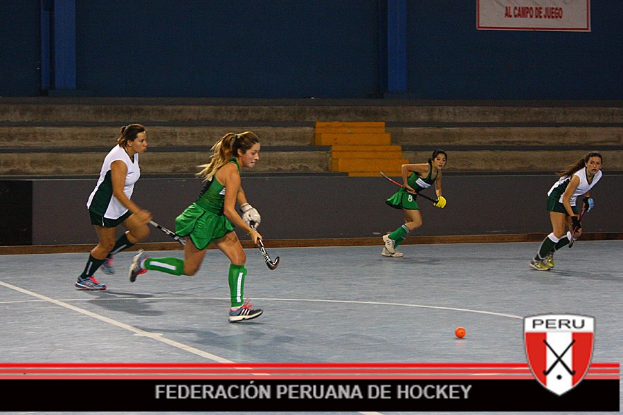 Ardiles acabó como máxima anotadora